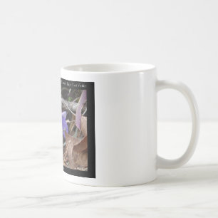 Hot Springs National Park, AR Wild Violets Gifts Coffee Mug