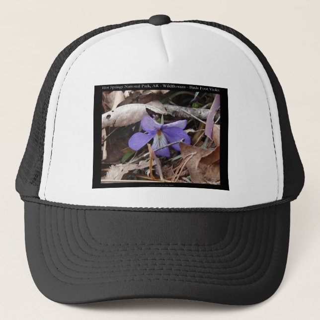 Hot Springs National Park, AR Wild Violets Gifts Trucker Hat (Front)