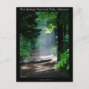Hot Springs National Park Dead Chief Trail Gifts Postcard