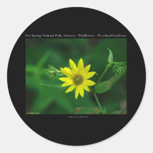 Hot Springs National Park Woodland Sunflower Gifts Classic Round Sticker