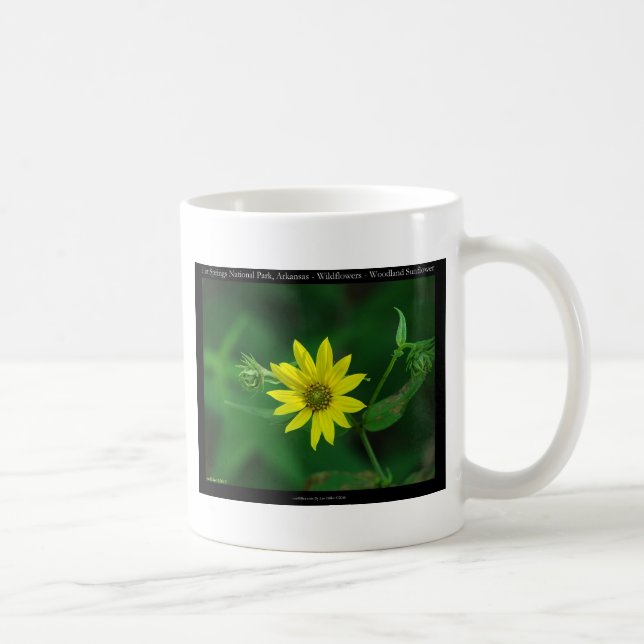Hot Springs National Park Woodland Sunflower Gifts Coffee Mug (Right)