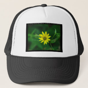 Hot Springs National Park Woodland Sunflower Gifts Trucker Hat
