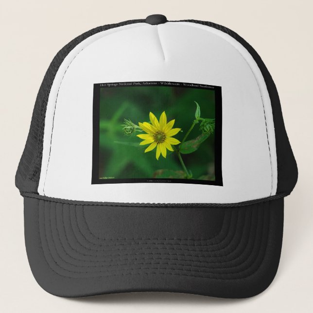 Hot Springs National Park Woodland Sunflower Gifts Trucker Hat (Front)
