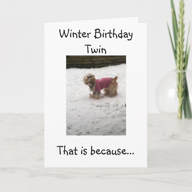 HOT TWINS HUMOR=WINTER BIRTHDAY GREETINGS CARD (Front)