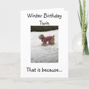 HOT TWINS HUMOR=WINTER BIRTHDAY GREETINGS CARD