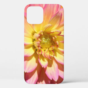 Hot yellow pink Dahlia Flower iPhone 12 Case