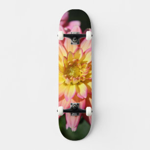 Hot yellow pink Dahlia Flower Skateboard