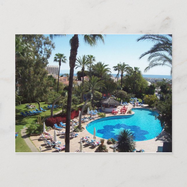 Hotel Palmasol Postcard (Front)