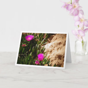 Hottentot Fig Ground Creeping Ice Plant Card