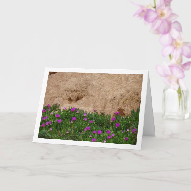 Hottentot Fig, Ice Plant in Canyon Card (Orchid)