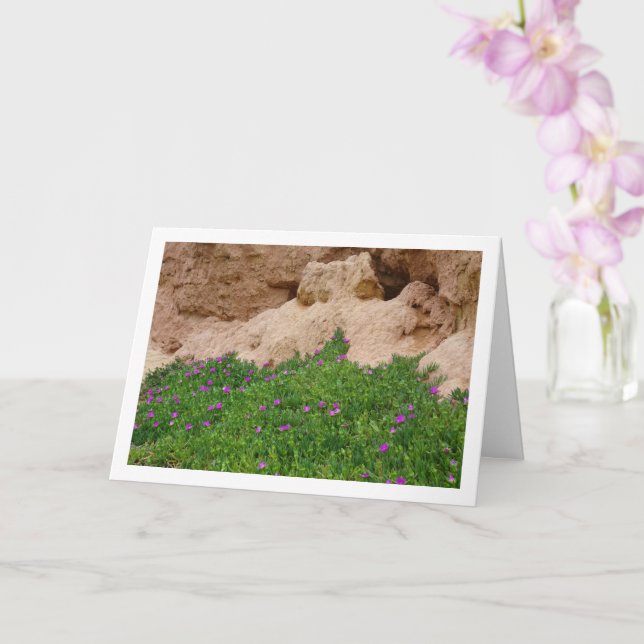 Hottentot Fig, Ice Plant in Canyon Card (Orchid)