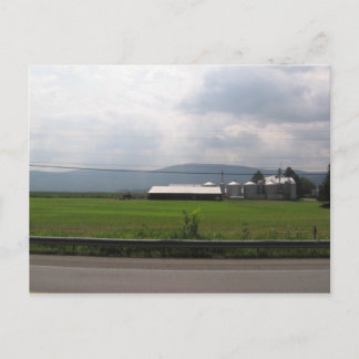 hottest day of the year postcard