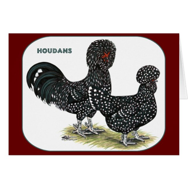 Houdan Chickens (Front Horizontal)