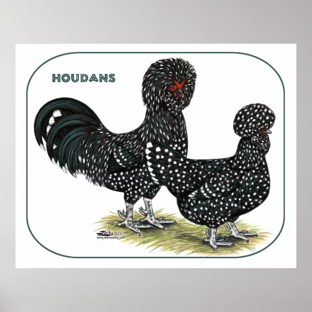 Houdan Chickens Poster (Front)