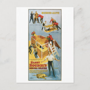 Houdini ~ Buried Alive Vintage  Escape Artist Postcard