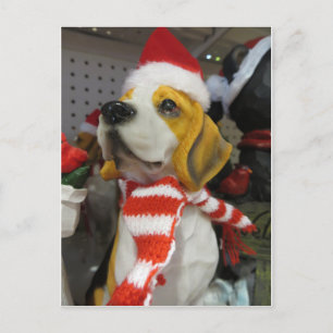 Hound Decoration Postcard