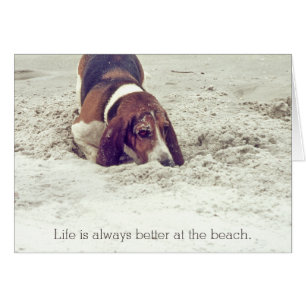 Hound Dog at the Beach, Dog Digging in Sand