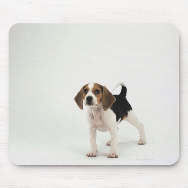 Hound Dog Mouse Pad (Front)