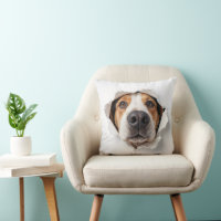 Hound Dog Peeking Through Torn Paper Hole