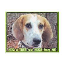 Hound Dog Tree Hugger