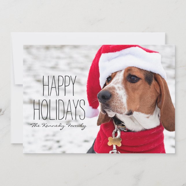 Hound dog wearing a winter coat and a Christmas Holiday Card (Front)