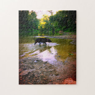 Hound Playing In The River Jigsaw Puzzle