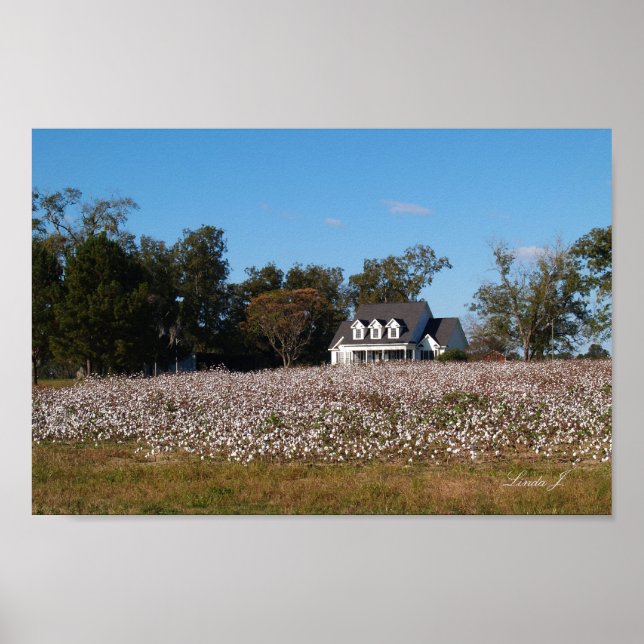 House and Cotton Field Canvas Print (Front)