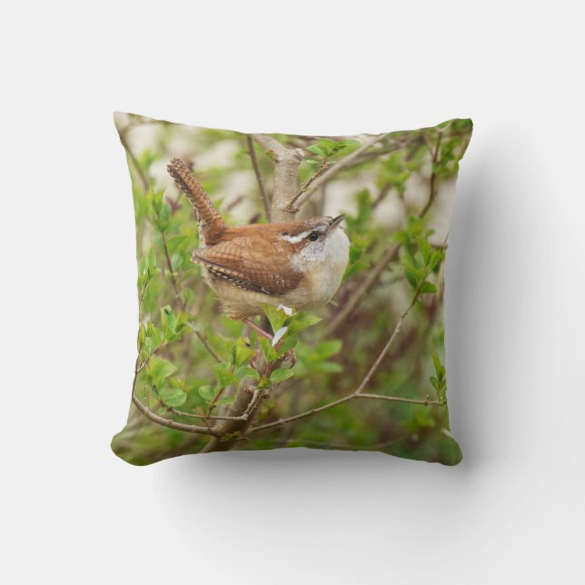 House Birds Photo Pillow (Front)