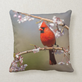 House Birds Photo Pillow