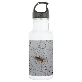 HOUSE CENTIPEDE. 532 ML WATER BOTTLE
