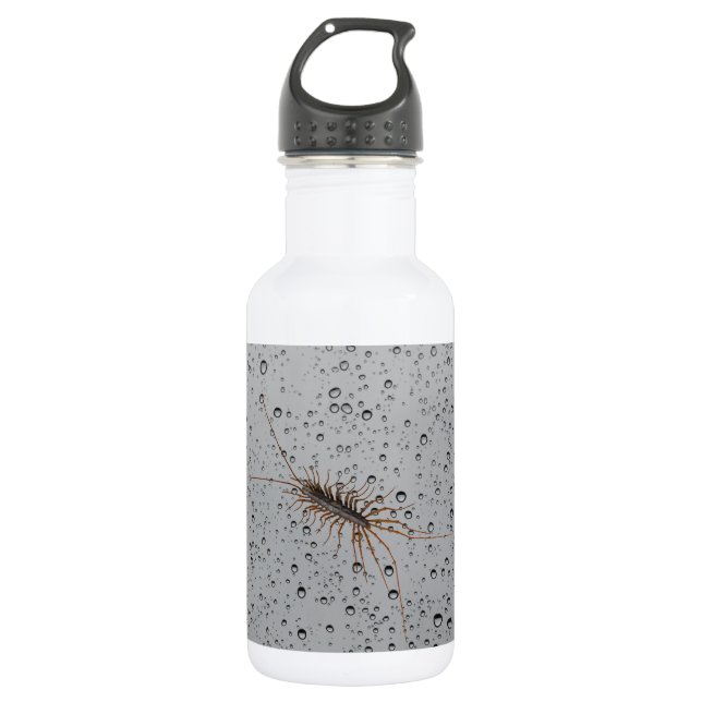 HOUSE CENTIPEDE. 532 ML WATER BOTTLE (Front)