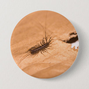 House Centipede 7.5 Cm Round Badge