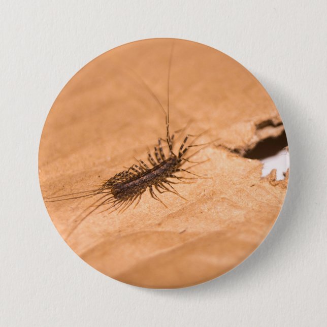 House Centipede 7.5 Cm Round Badge (Front)