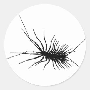 House Centipede Black Scary Bug Insect Gross Large Classic Round Sticker