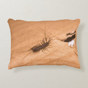 House Centipede Decorative Cushion