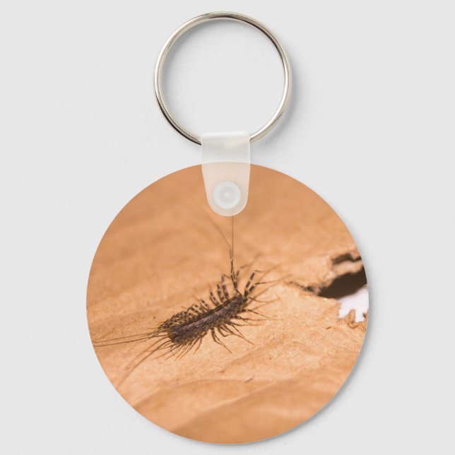 House Centipede Key Ring (Front)