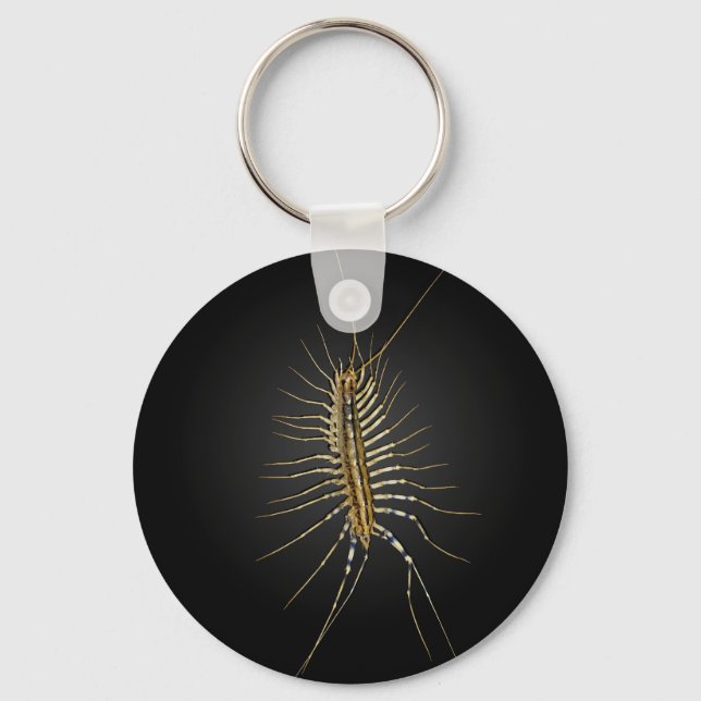House Centipede Scutigera Coleoptrata Key Ring (Front)