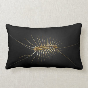 House Centipede Scutigera Coleoptrata Lumbar Cushion