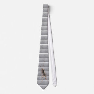 HOUSE CENTIPEDE. TIE