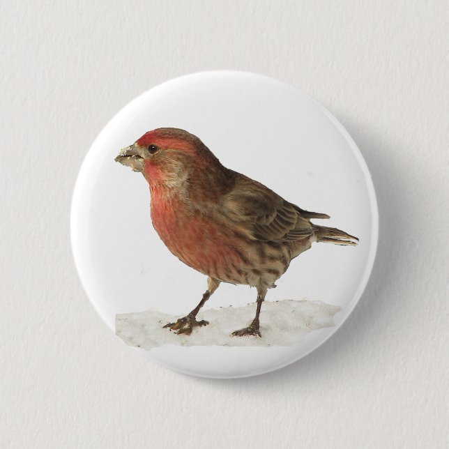 House Finch 6 Cm Round Badge (Front)