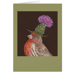 house finch card, Tucker