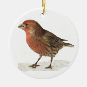 House Finch Ceramic Tree Decoration