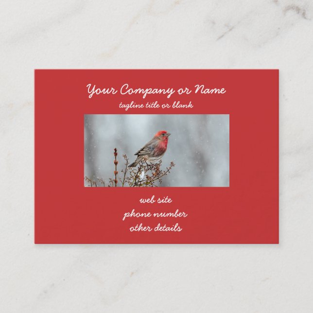 House Finch in Snow - Original Photograph Business Card (Front)