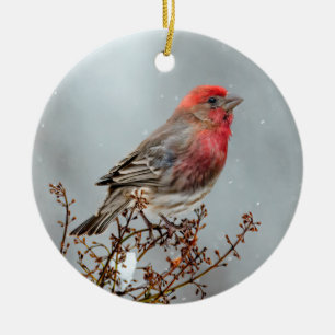 House Finch in Snow - Original Photograph Ceramic Ornament