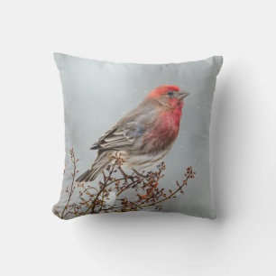House Finch in Snow - Original Photograph Cushion