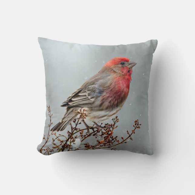 House Finch in Snow - Original Photograph Cushion (Front)