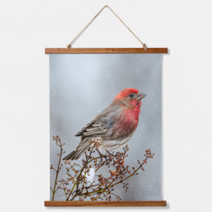 House Finch in Snow - Original Photograph Hanging Tapestry