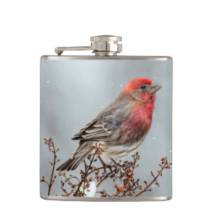 House Finch in Snow - Original Photograph Hip Flask