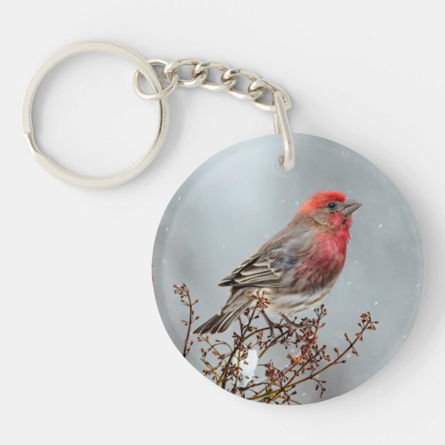 House Finch in Snow - Original Photograph Key Ring (Front)