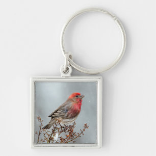 House Finch in Snow - Original Photograph Key Ring